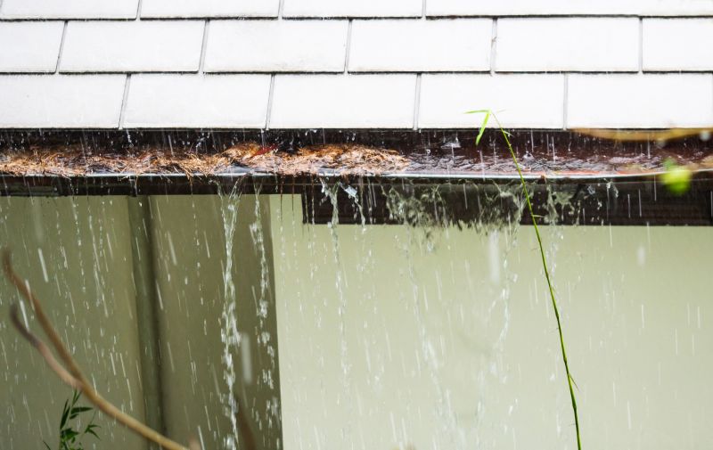 Clogged Gutter Hazards